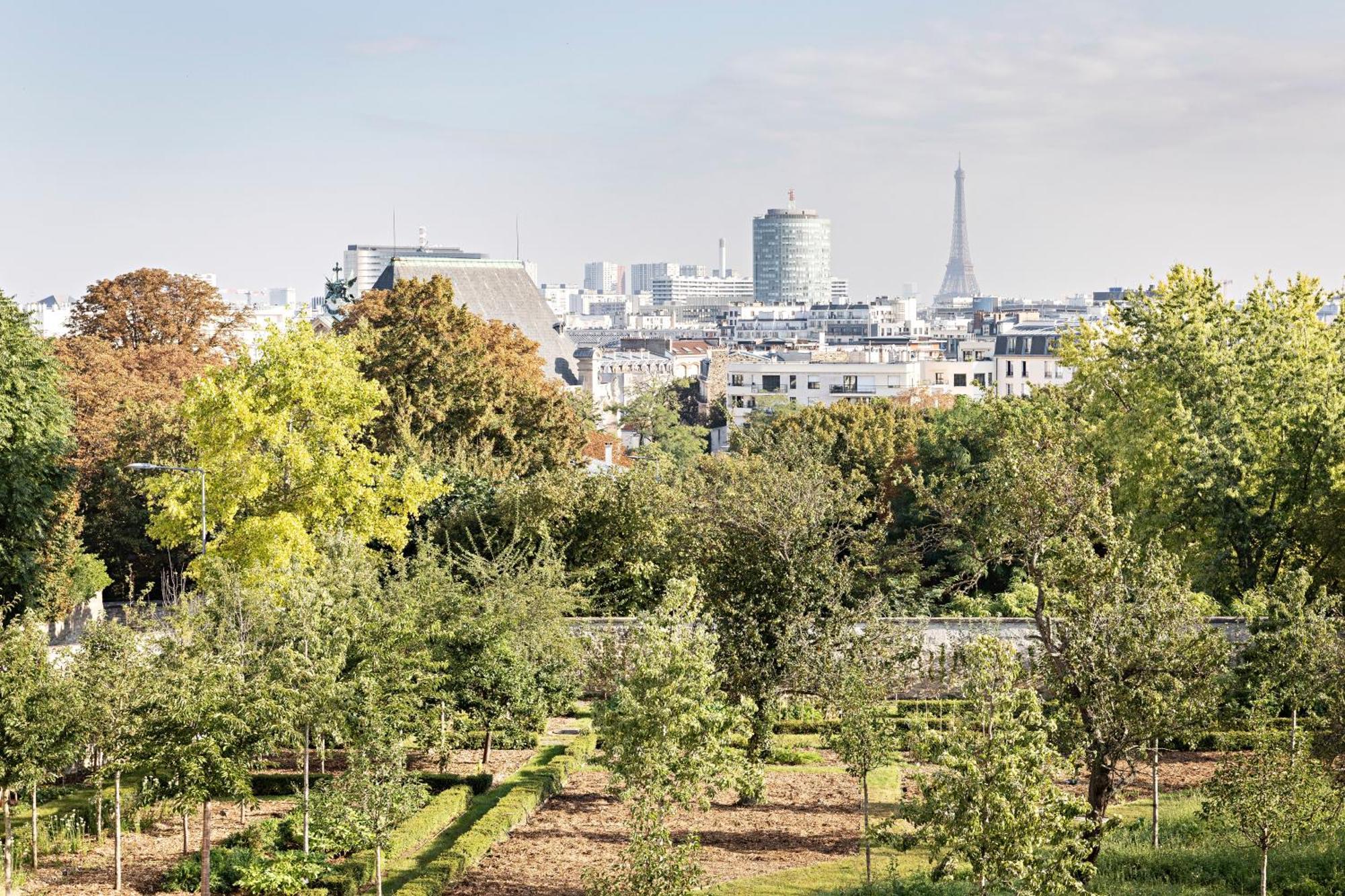Domaine Reine Margot Paris - Issy Mgallery Collection Екстер'єр фото